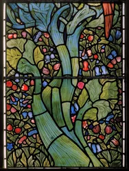 Arbre tortueux, fenêtre est